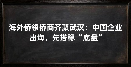 海外侨领侨商齐聚武汉:中国企业出海,先搭稳“底盘”