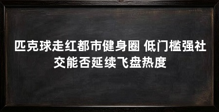 匹克球走红都市健身圈 低门槛强社交能否延续飞盘热度