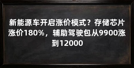 新能源车开启涨价模式?存储芯片涨价180%,辅助驾驶包从9900涨到12000