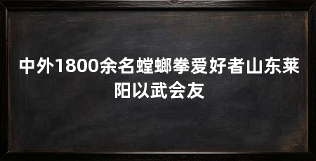 中外1800余名螳螂拳爱好者山东莱阳以武会友
