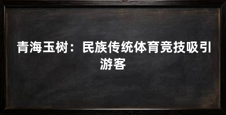 青海玉树：民族传统体育竞技吸引游客