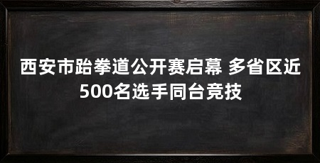 西安市跆拳道公开赛启幕 多省区近500名选手同台竞技