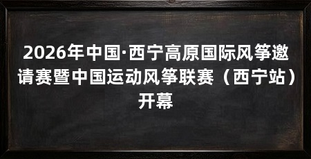 2026年中国·西宁高原国际风筝邀请赛暨中国运动风筝联赛(西宁站)开幕