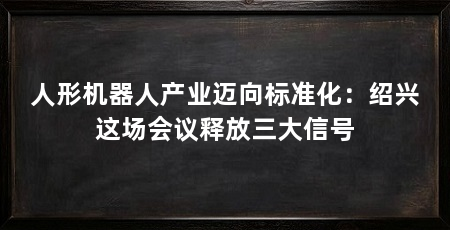 人形机器人产业迈向标准化:绍兴这场会议释放三大信号