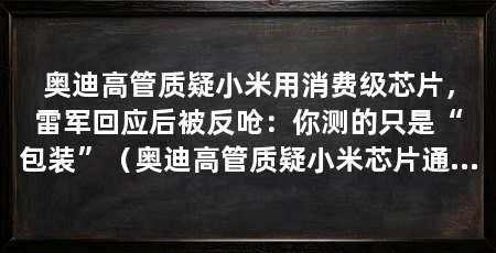 奥迪高管质疑小米用消费级芯片，雷军回应后被反呛：你测的只是“包装”（奥迪高管质疑小米芯片通过aec-q104测试，结果对方反呛：不合理
