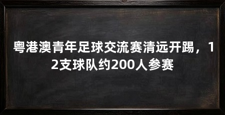 粤港澳青年足球交流赛清远开踢,12支球队约200人参赛