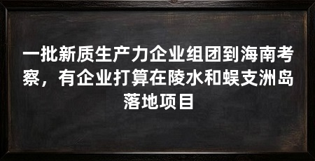 一批新质生产力企业组团到海南考察,有企业打算在陵水和蜈支洲岛落地项目