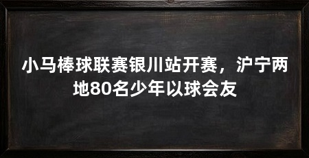 小马棒球联赛银川站开赛，沪宁两地80名少年以球会友
