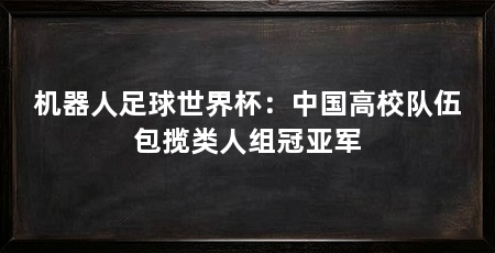 机器人足球世界杯：中国高校队伍包揽类人组冠亚军