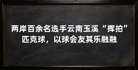 两岸百余名选手云南玉溪“挥拍”匹克球,以球会友其乐融融