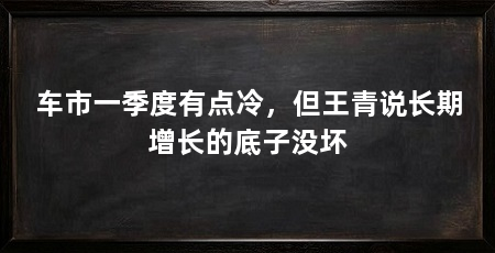 车市一季度有点冷,但王青说长期增长的底子没坏