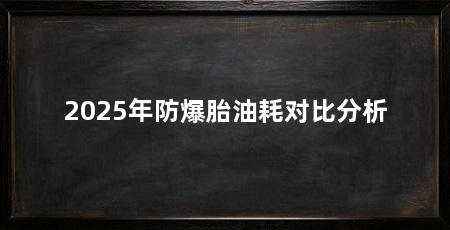 2025年防爆胎油耗对比分析