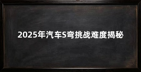 2025年汽车S弯挑战难度揭秘