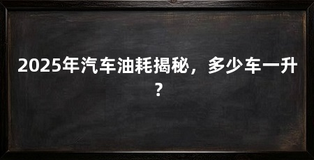 2025年汽车油耗揭秘，多少车一升？