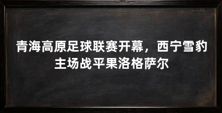 青海高原足球联赛开幕,西宁雪豹主场战平果洛格萨尔