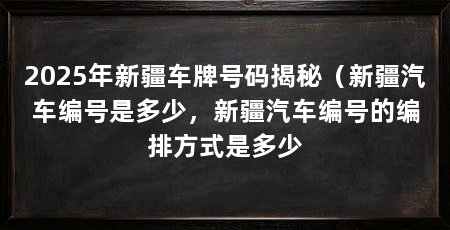 2025年新疆车牌号码揭秘（新疆汽车编号是多少，新疆汽车编号的编排方式是多少