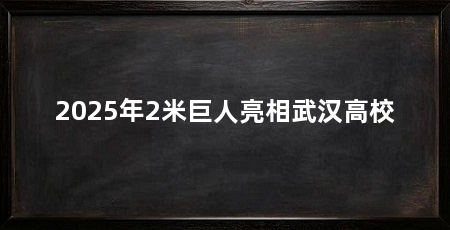 2025年2米巨人亮相武汉高校