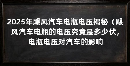 2025年飓风汽车电瓶电压揭秘（飓风汽车电瓶的电压究竟是多少伏，电瓶电压对汽车的影响
