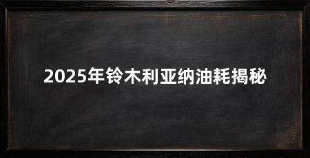 2025年铃木利亚纳油耗揭秘