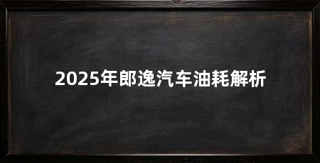 2025年郎逸汽车油耗解析