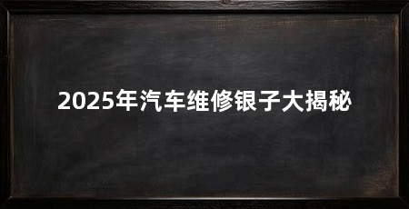 2025年汽车维修银子大揭秘