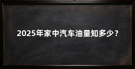 2025年家中汽车油量知多少?