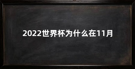 2022世界杯为什么在11月