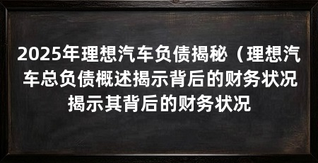 2025年理想汽车负债揭秘（理想汽车总负债概述揭示背后的财务状况揭示其背后的财务状况