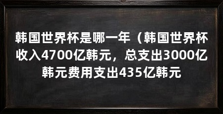 韩国世界杯是哪一年(韩国世界杯收入4700亿韩元,总支出3000亿韩元费用支出435亿韩元