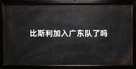 比斯利加入广东队了吗