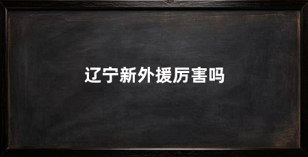 辽宁新外援厉害吗