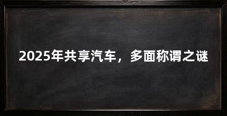 2025年共享汽车，多面称谓之谜