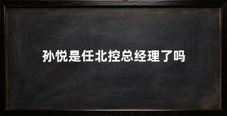 孙悦是任北控总经理了吗