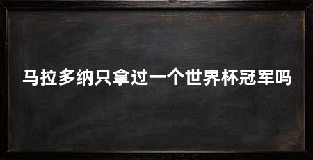 马拉多纳只拿过一个世界杯冠军吗