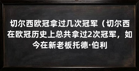 切尔西欧冠拿过几次冠军（切尔西在欧冠历史上总共拿过2次冠军，如今在新老板托德·伯利
