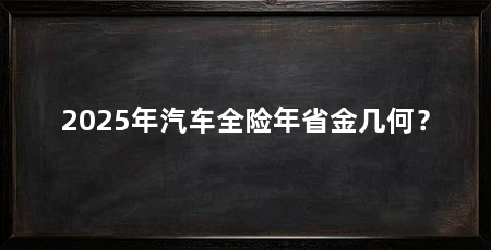2025年汽车全险年省金几何？
