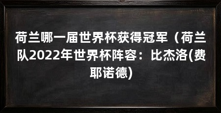 荷兰哪一届世界杯获得冠军(荷兰队2022年世界杯阵容:比杰洛(费耶诺德)