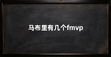 马布里有几个fmvp