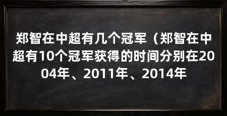 郑智在中超有几个冠军(郑智在中超有10个冠军获得的时间分别在2004年、2011年、2014年