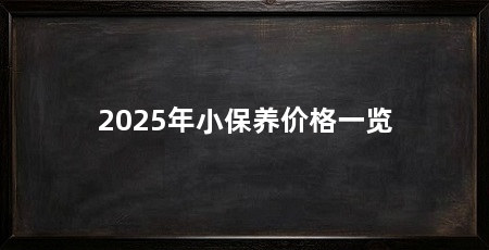2025年小保养价格一览