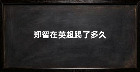 郑智在英超踢了多久