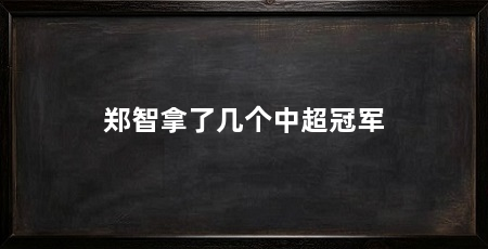 郑智拿了几个中超冠军