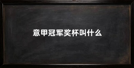 意甲冠军奖杯叫什么