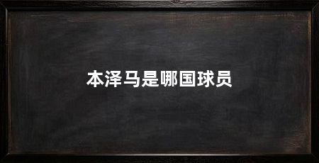 本泽马是哪国球员