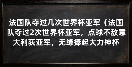 法国队夺过几次世界杯亚军（法国队夺过2次世界杯亚军，点球不敌意大利获亚军，无缘捧起大力神杯
