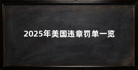 2025年美国违章罚单一览