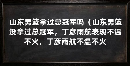 山东男篮拿过总冠军吗（山东男篮没拿过总冠军，丁彦雨航表现不温不火，丁彦雨航不温不火