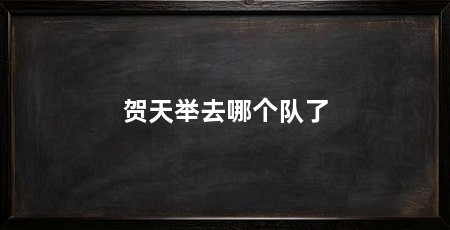 贺天举去哪个队了