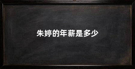 朱婷的年薪是多少