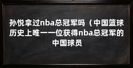 孙悦拿过nba总冠军吗（中国篮球历史上唯一一位获得nba总冠军的中国球员